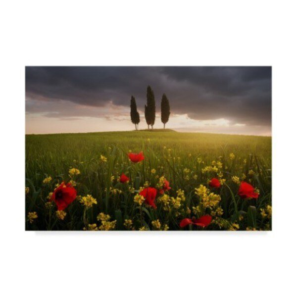 Daniel Rericha 'Blooming Tuscany' Canvas Art, 16x24, Trademark Fine Art, Mfr#: 1X04361-C1624GG